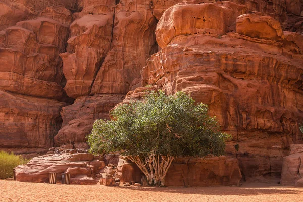 Sanddyner Wadi Rum Desert Jordanien Mellanöstern — Stockfoto