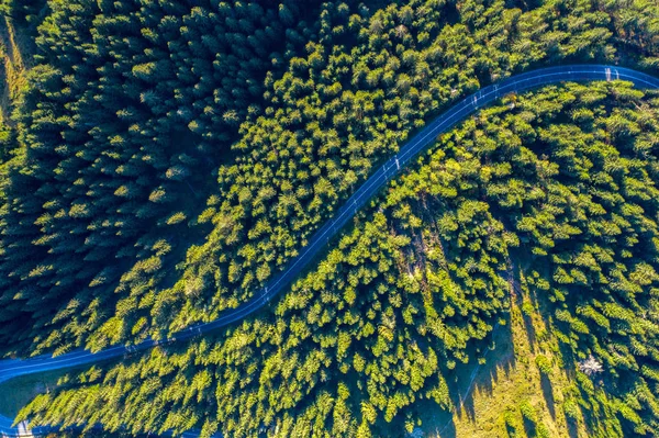 Estrada Que Passa Pela Floresta Vista Aérea Drone — Fotografia de Stock