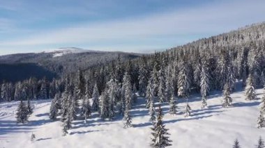 Karla kaplı kış orman dron tarafından dağlarda hava 4 k Üstten Görünüm