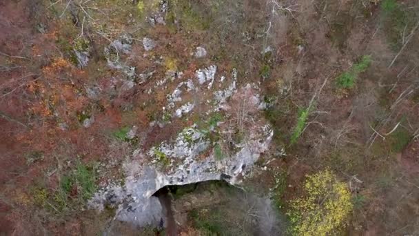 Descending Aerial View Cliff Face Cave Entrance Amongst Trees Drone — Stock Video