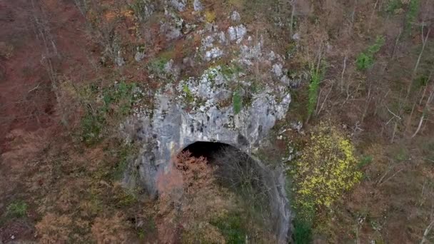 Növekvő Légi Nézet Egy Nagy Misztikus Barlang Bejárata Erdő Dron — Stock videók