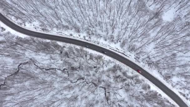 Samochody Jazdy Zimowe Drogi Lesie Pokryte Śniegiem Antena Widok Dronów — Wideo stockowe