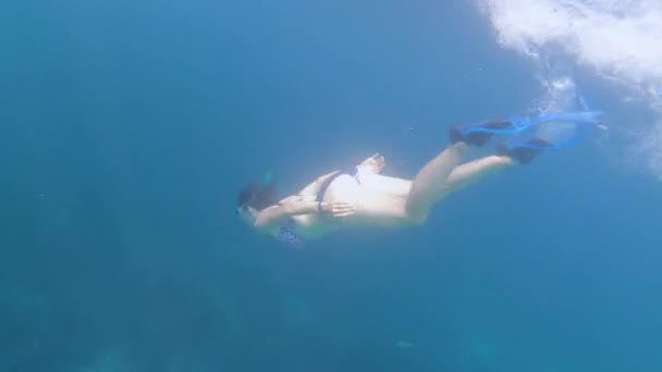 Visão Subaquática Menina Sexy Biquíni Snorkeling Água Mar Tropical — Vídeo de Stock