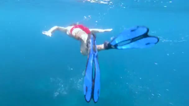 Unterwasser Ansicht Eines Schnorchlers Der Tropischen Meerwasser Taucht — Stockvideo