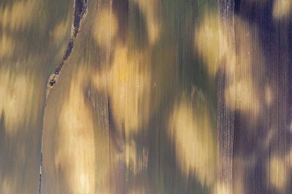 Aerial drönarvy upplöjd jord terräng — Stockfoto