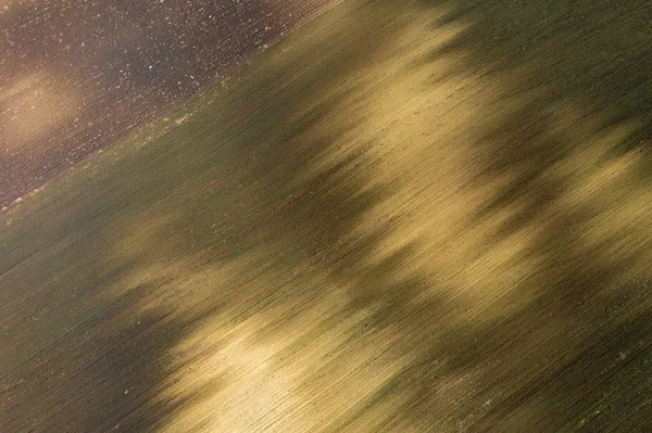 Hava dron görünümü sürülmüş tarım arazi — Stok fotoğraf