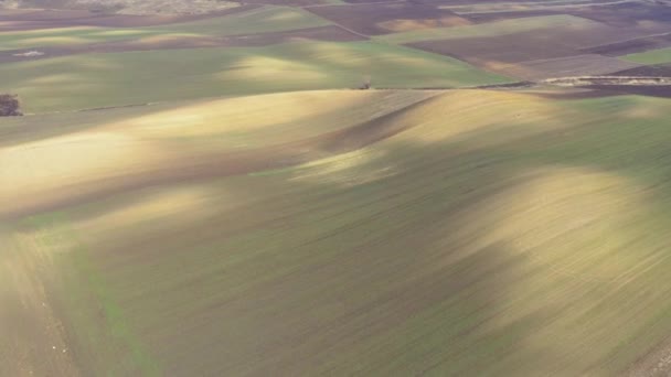Frühjahr Mit Chemischem Dünger Über Landwirtschaftliches Feld Fliegen Drohnen Luftaufnahme — Stockvideo