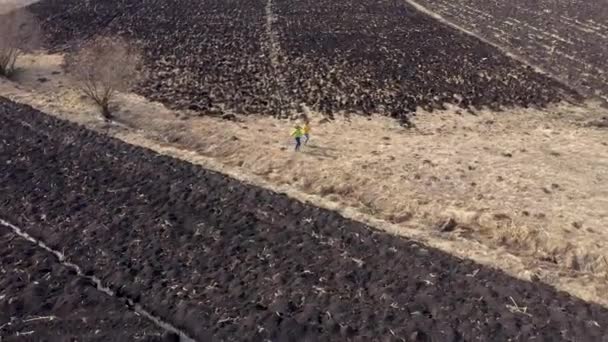 Point de vue aérien de copines qui s'amusent et se tiennent les mains en plein air par drone 