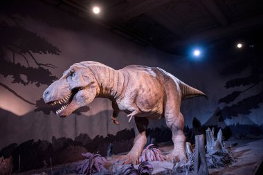 Tyrannosaurus rex imar