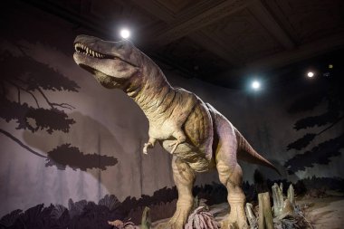 Tyrannosaurus rex imar