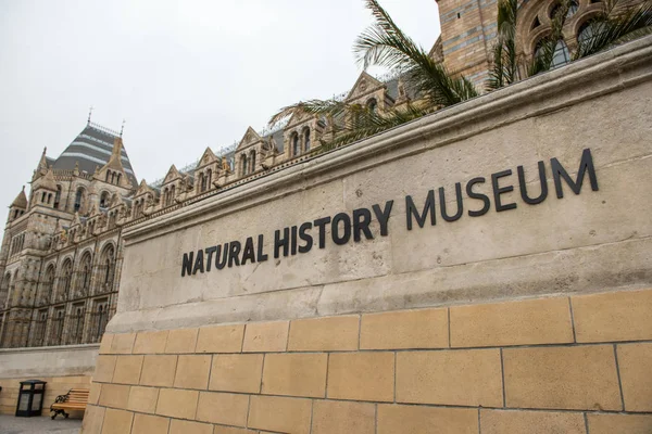 Muzeum historii naturalnej w Londynie — Zdjęcie stockowe