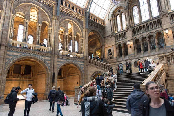 Skeleton of blue whale in Natural History Museum — Stock Photo, Image