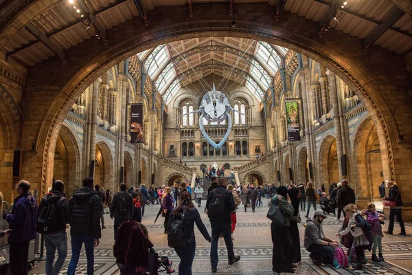 Skeleton of blue whale in Natural History Museum — Stock Photo, Image