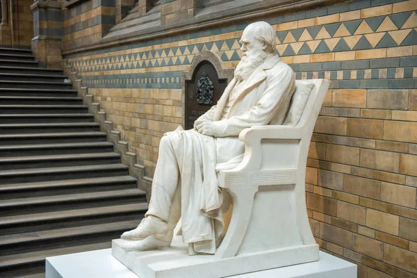 Statua di Charles Darwin al Museo di Storia Naturale di Londra — Foto Stock