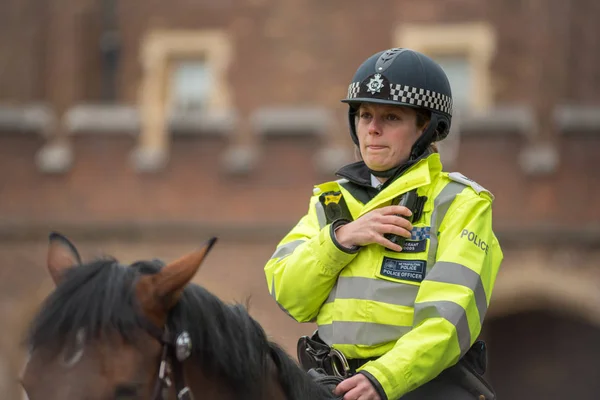 Oficial de policía a caballo en Londres — Foto de Stock