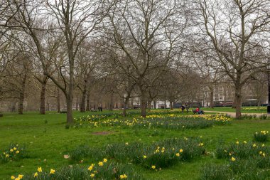 Yeşil Park, Londra yürüyen turist