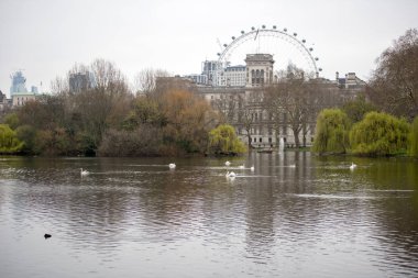 Saint James Park bölgesindeki göl, Londra