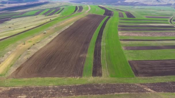 Légi Drone Tavasszal Megszántott Ültetésre Előkészített Növények Mezőgazdasági Földterületein — Stock videók