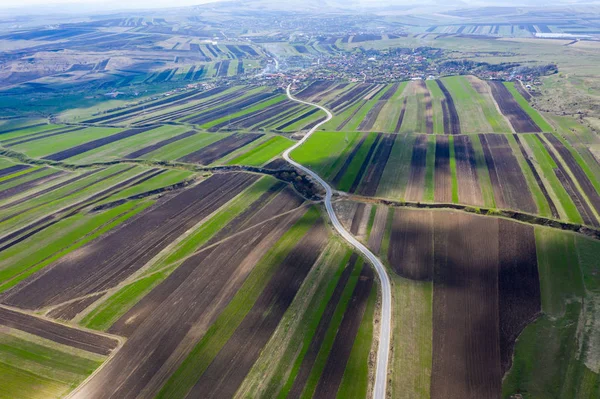 Antenn drönare syn på jordbruks mark av plöjde grödor — Stockfoto