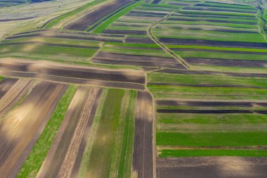 Hava drone tarım alanları, sürülmüş bitkileri görünümü 