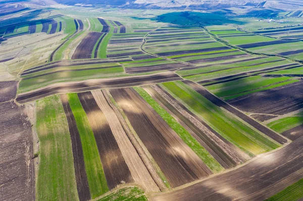 Antenn drönare syn på jordbruks mark av plöjde grödor — Stockfoto