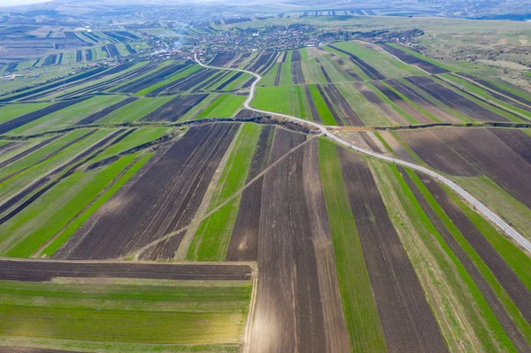 Antenn drönare syn på jordbruks mark av plöjde grödor — Stockfoto