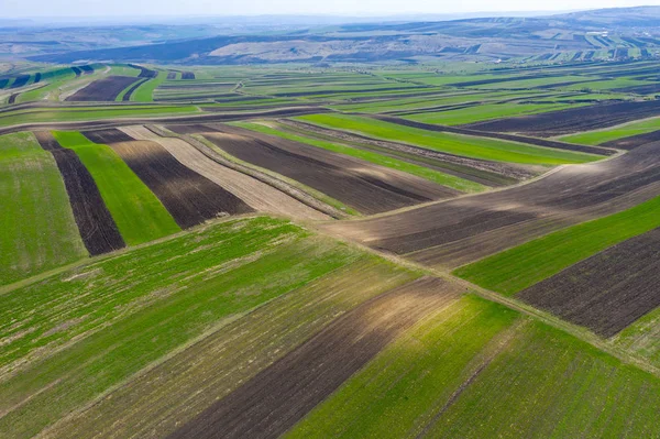 Vue aérienne par drone des champs agricoles de cultures labourées — Photo