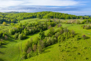 Yeşil bahar tepeleri ve orman havadan görünümü 