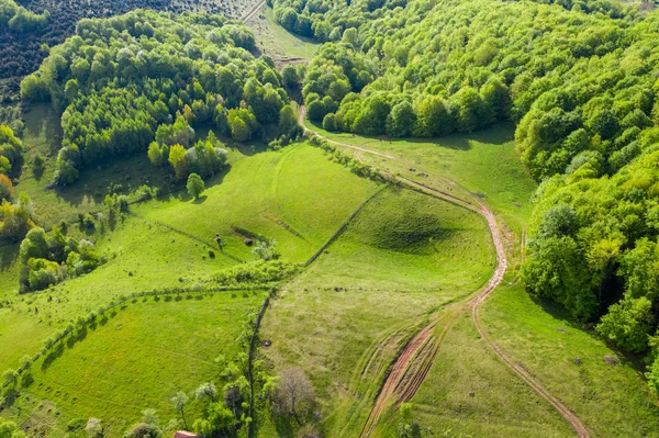 Vista aérea de colinas verdes e floresta — Fotografia de Stock