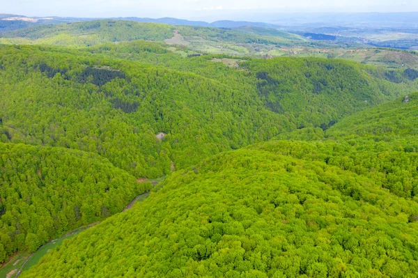 Vue aérienne d'un couvert forestier dense et vert — Photo