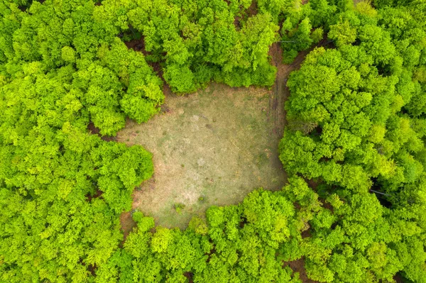 Aerial view of a glade meadow in a green forest — Stock Photo, Image