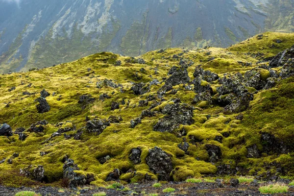 Pole lawy Eldhraun w Islandii — Zdjęcie stockowe