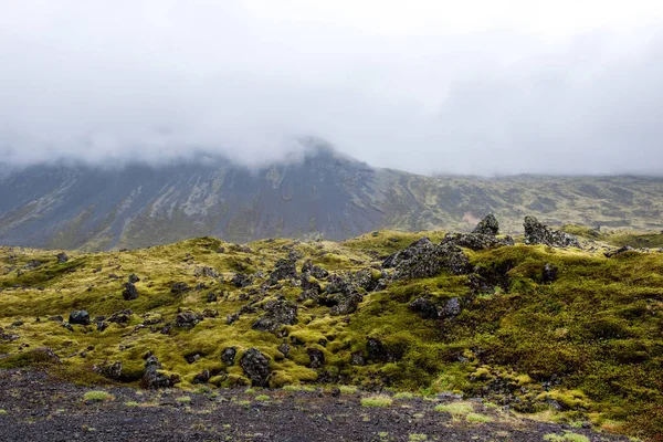 Eldhraun Lava Field på Island — Stockfoto