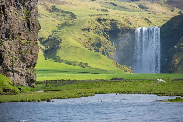 Cascata skogafoss in ghiandaia — Foto Stock