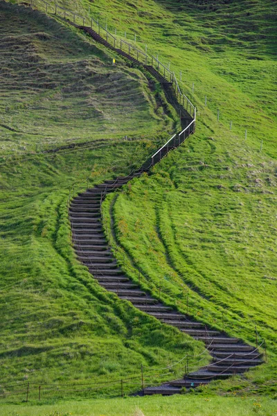 Small path leading up a green hill — Stock Photo, Image