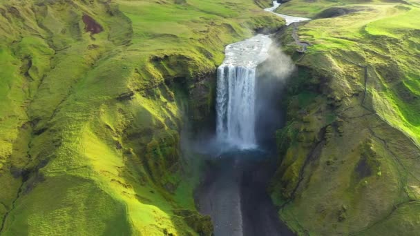 Drohnenaufnahme Des Skogafoss Wasserfalls Island Einer Der Berühmtesten Touristenattraktionen Und — Stockvideo