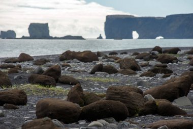 Dyrholaey Yarımadası Atlantik Okyanusu, Izlanda