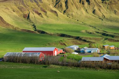 Harika İzlanda manzara ve doğa