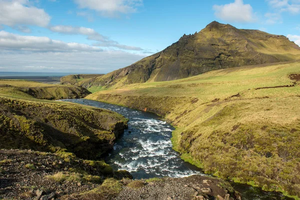 Skogar i södra Island — Stockfoto