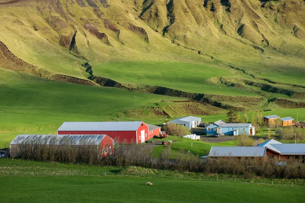 Maravilhosa paisagem e natureza islandesa — Fotografia de Stock