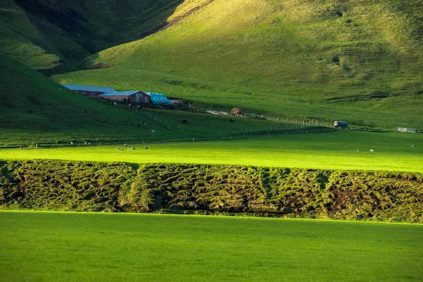 Wunderbare isländische Landschaft und Natur — Stockfoto