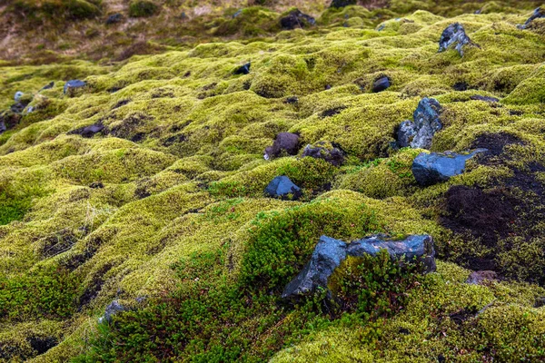 Ельдхраун Лава Філд в Ісландії — стокове фото