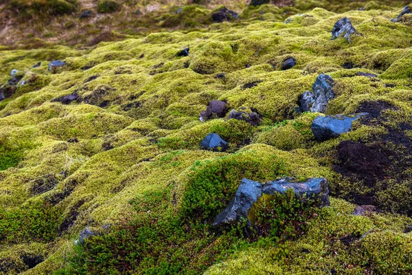 Eldhraun Lavafeld in Island — Stockfoto