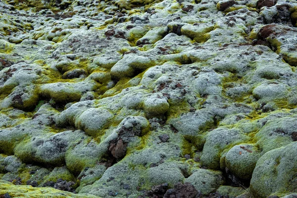 Eldhraun Lavafeld in Island — Stockfoto