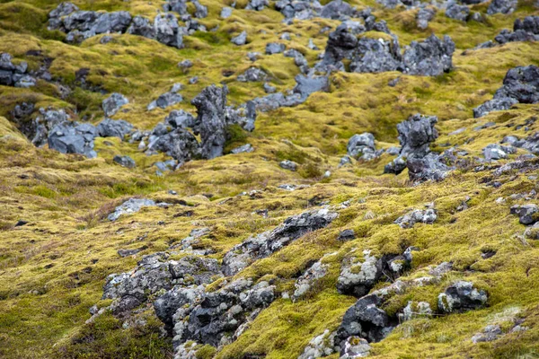 Campo de lava Eldhraun en Islandia — Foto de Stock