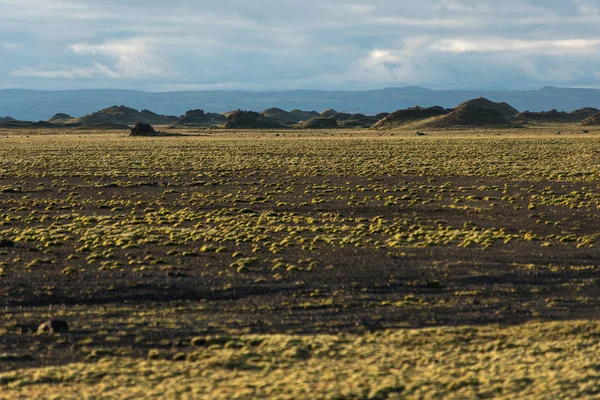 Eldhraun Lava Veld in IJsland — Stockfoto