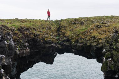Arnarstapi bazalt kaya kemeri oluşumu, İzlanda