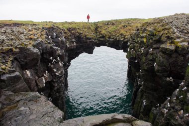 Arnarstapi bazalt kaya kemeri oluşumu, İzlanda