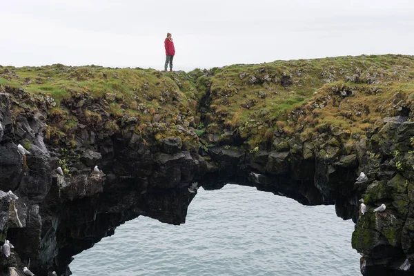 Arnarstapi basalt rock arch formation, Iceland — Stock Photo, Image