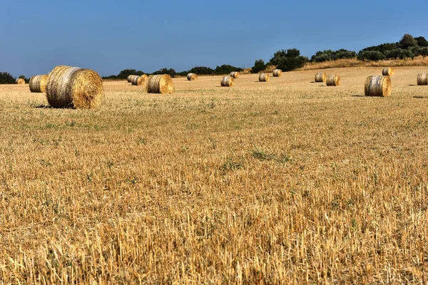 Straw bales on farmland with blue sky — Φωτογραφία Αρχείου